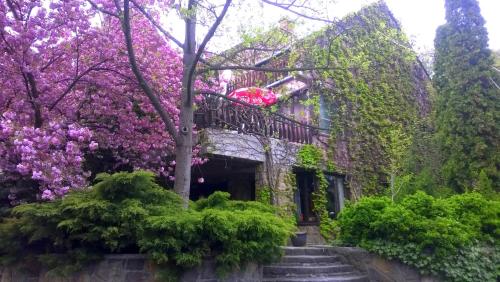 Фотография гостевого дома Cola Panzió