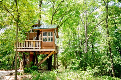 Фотография мини отеля The Cottage Treehouses