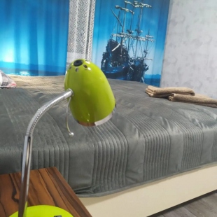 Фотография квартиры Квартира Посуточно Премьер