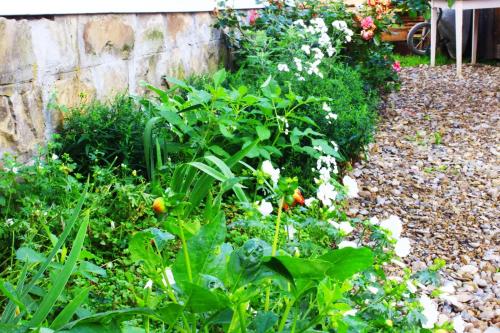 Фотографии гостевого дома 
            Luxury house