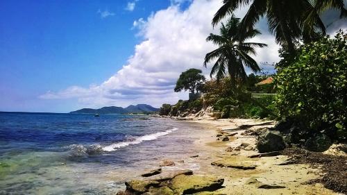 Фотография хостела Lazy Hostel