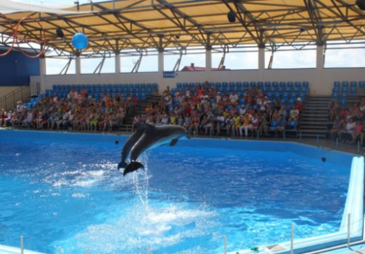 Фотографии достопримечательности
Дельфинарий Немо
