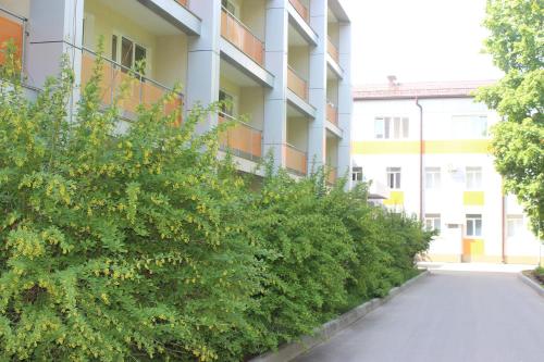 Фотография санатория АО Боровичский комбинат огнеупоров