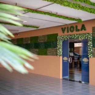Фотография гостиницы Viola Hotel