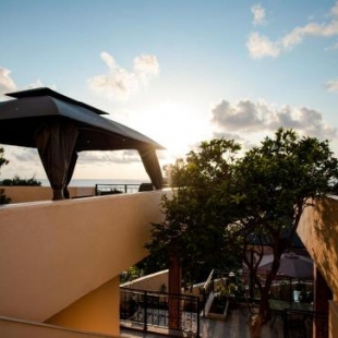 Фотография гостиницы Hotel Mandarinebi