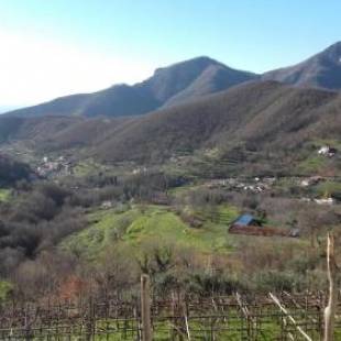 Фотографии базы отдыха
La Casa in Vigna