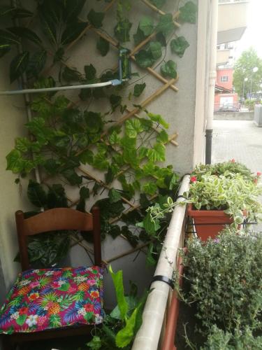 Фотография гостевого дома Guest House Josephine