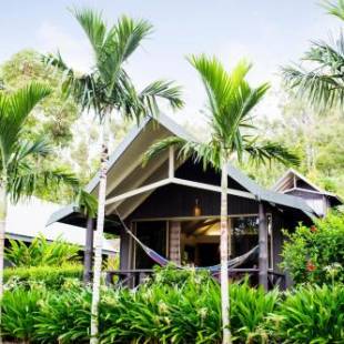 Фотографии гостиницы
Palm Bungalows