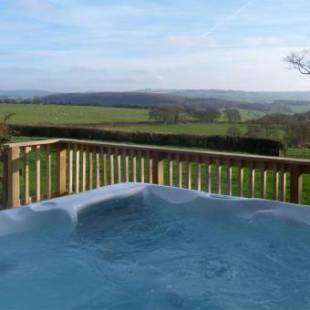 Фотографии гостевого дома 
            Gwarffynnon