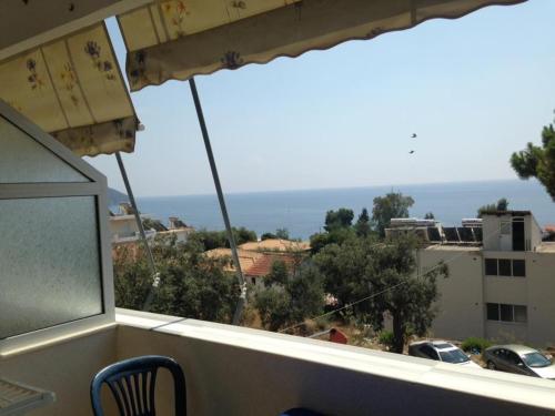 Фотография гостевого дома Hotel villa Petro