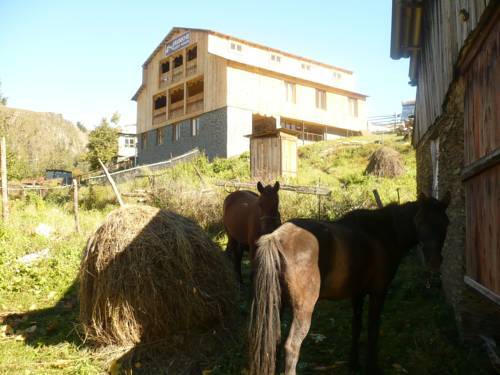 Фотография гостевого дома Javakhe