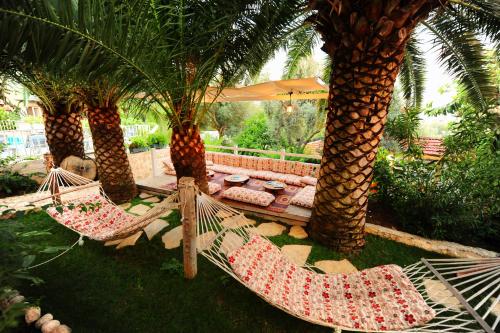 Фотография гостиницы Golden Lighthouse Hotel