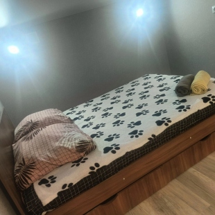 Фотография квартиры Апартаменты Уютная Студия Шишкова 91