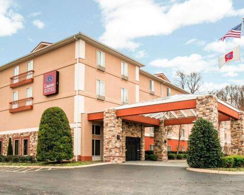 Фотография гостиницы Comfort Suites Airport Nashville