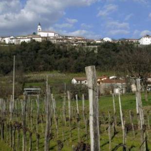 Фотографии гостевого дома 
            Apartma in soba Vipavski Križ