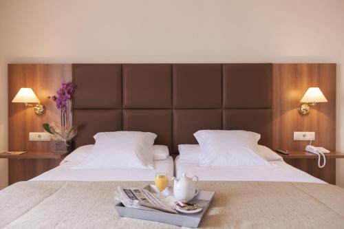 Фотография гостиницы Hotel Pirineos