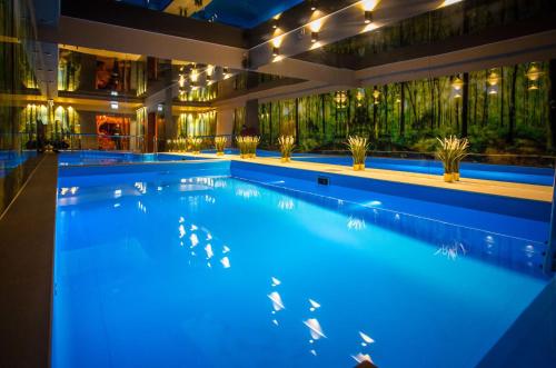 Фотография гостиницы Srebrny Bucznik Wellness & Restauracja