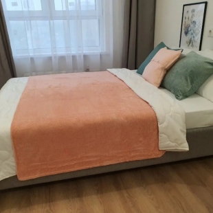 Фотография квартиры Апартаменты RemiAparts ЖК Самолет