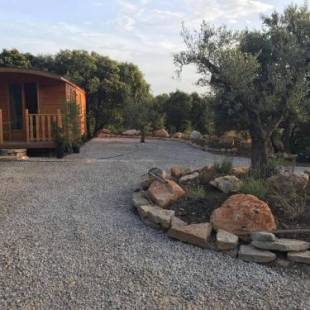 Фотографии гостевого дома 
            roulotte