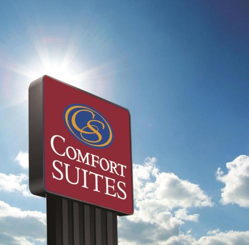 Фотография гостиницы Comfort Suites Camp Hill-Harrisburg West