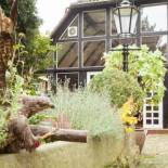 Фотография гостиницы Hotel Alter Wolf