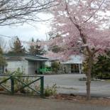 Фотография мотеля Tongariro River Motel