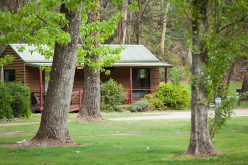 Фотография базы отдыха Beechworth Holiday Park