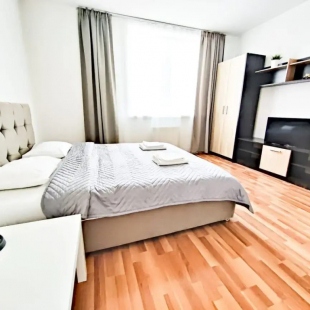 Фотография квартиры Good House (Гуд Хаус) на проезде Решетникова 1