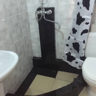 Фотография гостиницы Hotel Gelati Paradiso