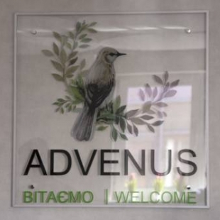 Фотография гостиницы Адвенус