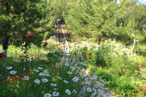 Фотографии мини отеля 
            Zona otdykha Dustlik