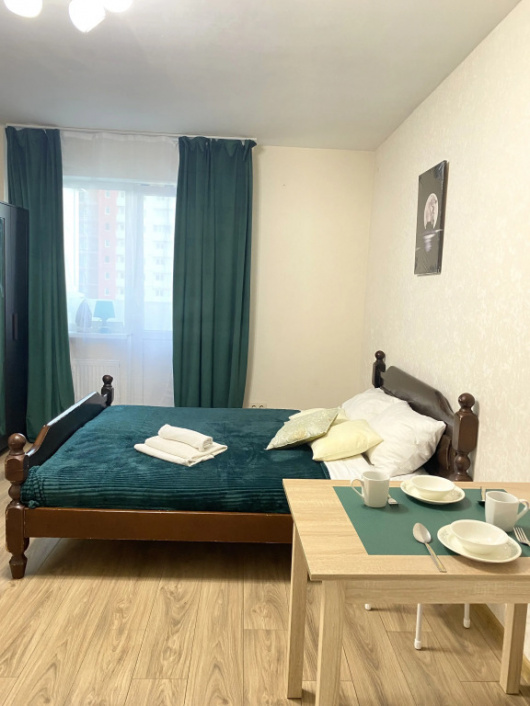 Фотографии квартиры 
            Квартира Студия около Аэропорта 4 Подушки