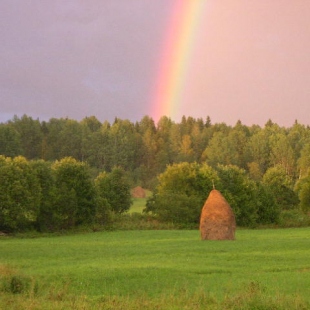 Фотография достопримечательности Природный парк Вепсский лес