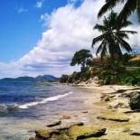 Фотография хостела Lazy Hostel