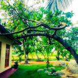 Фотография гостевого дома Green Sapphire Holiday Resort Wilpaththu