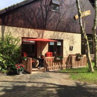 Фотографии мини отеля
De Vier Berken 2