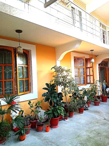 Фотография гостевого дома Кенгуру