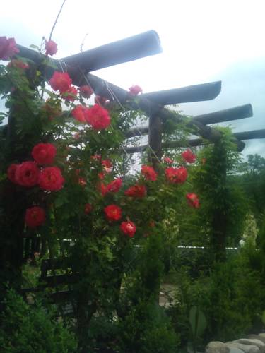 Фотографии мини отеля
Прайд