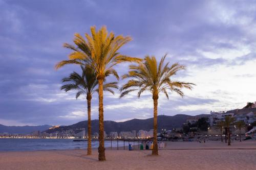 Фотография гостиницы Hotel L'Escala