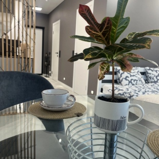 Фотография квартиры Апартаменты MinskMirApartments