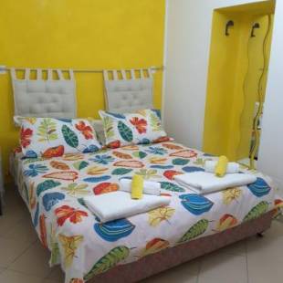 Фотографии мини отеля 
            B&B Odeon