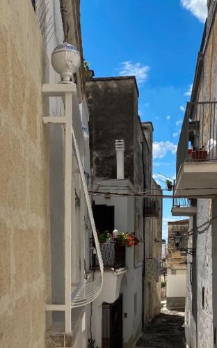 Фотография мини отеля SANTEA