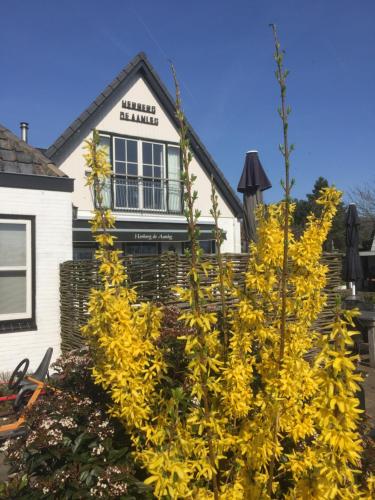 Фотография мини отеля Herberg de Aanleg