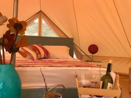 Фотография гостиницы Mangoo Glamping