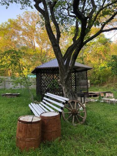 Фотография гостевого дома Аэробус