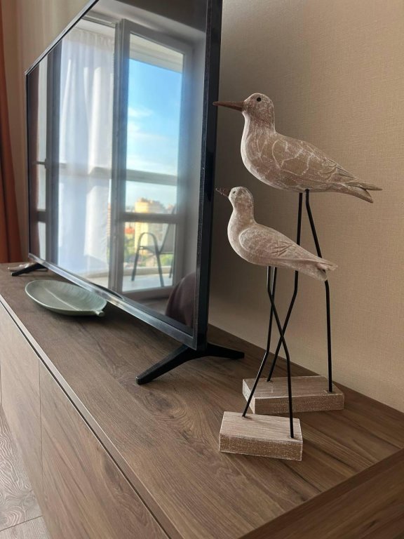 Фотография квартиры Апартаменты Атмосфера на Старшины Дадаева 68