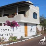 Фотография мини отеля Hostal Arena Negra