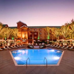 Фотография гостиницы Silverton Hotel & Casino