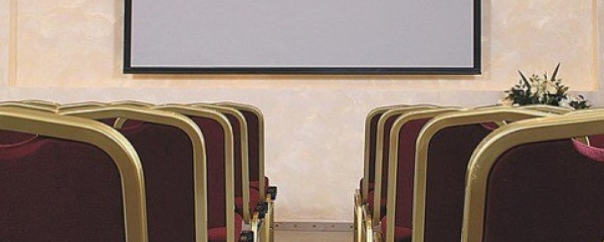 Фотографии конференц-зала Парк Отель