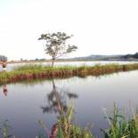 Фотография гостевого дома Poinsettia family Cottage